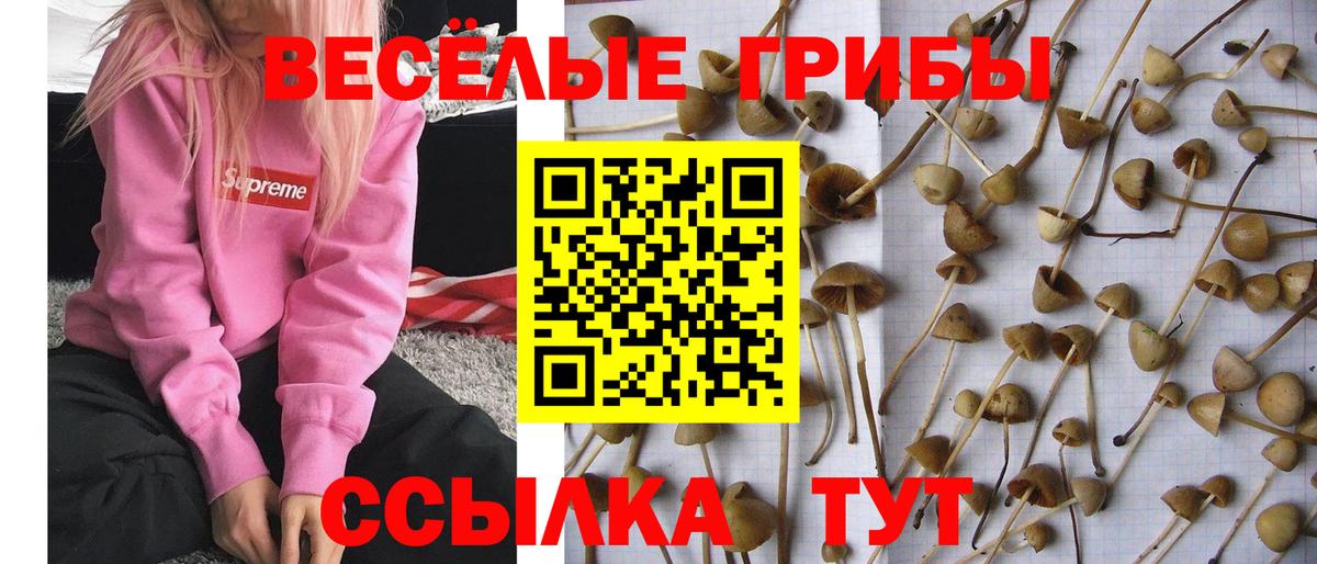 Красноярск  Галлюциногенные грибы MAGIC MUSHROOMS  Вход с VPN 